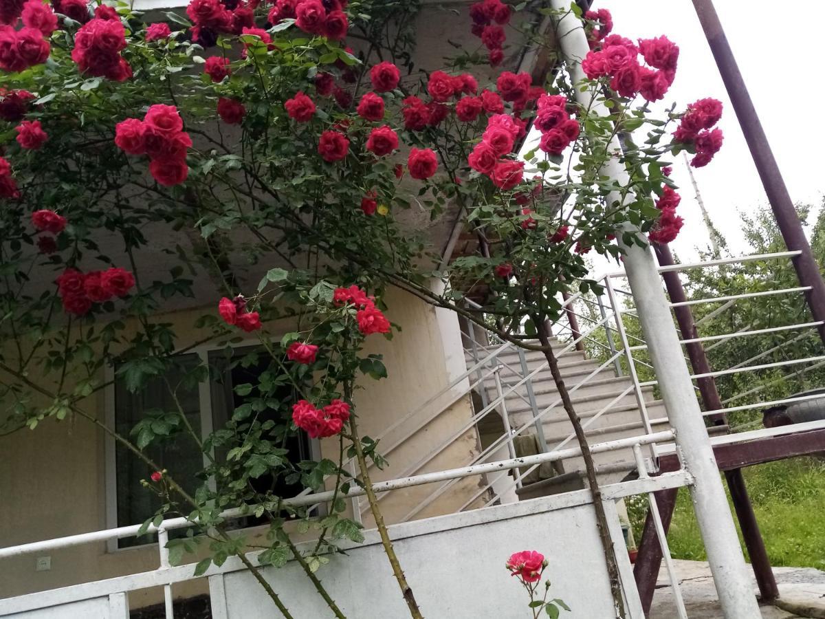 Mti House Hotel Kvesheti Luaran gambar